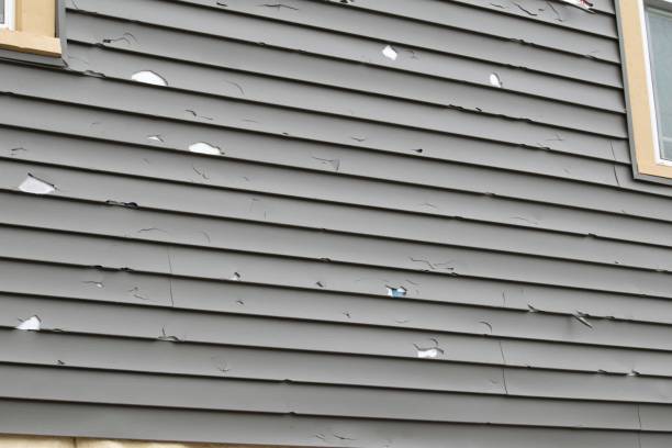 Best Shed Removal  in Pahokee, FL